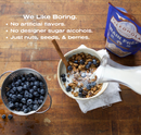 Cinnamon Blueberry Grain Free Granola