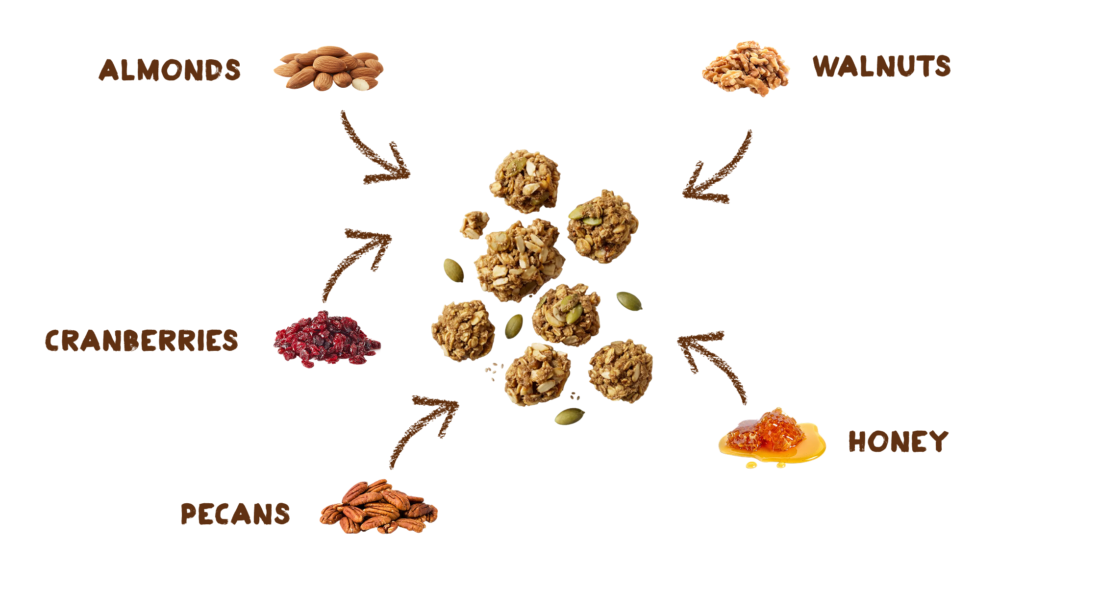 Paleonola ingredients: almonds, walnuts, cranberries, honey, pecans