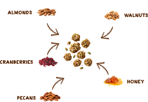 Paleonola ingredients: almonds, walnuts, cranberries, honey, pecans